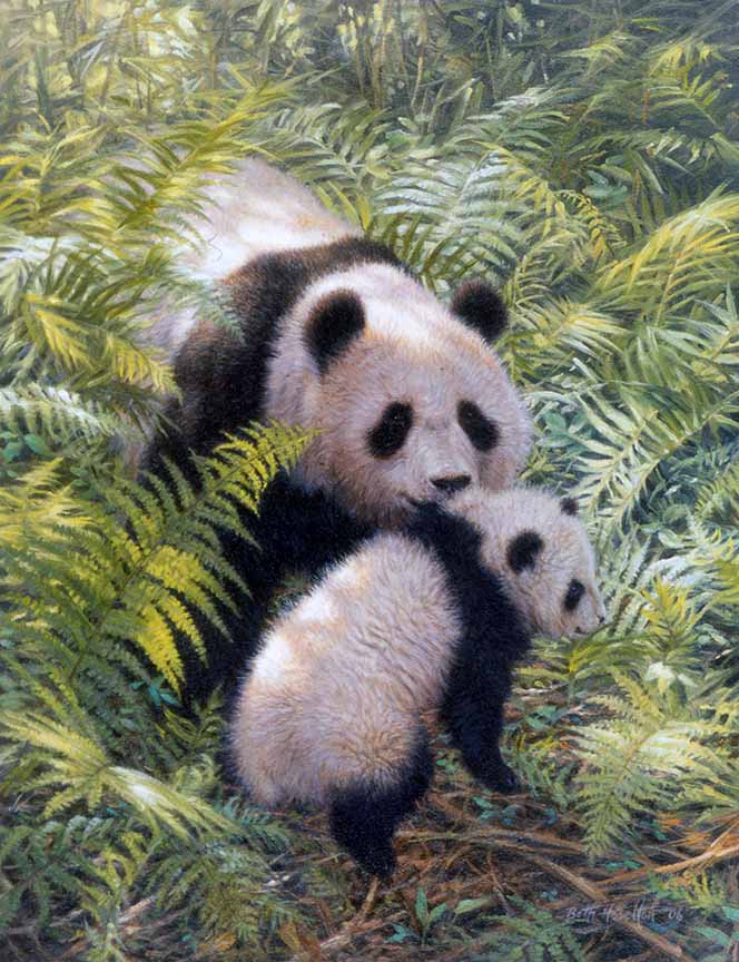 BH2 – Wildlife – A Mother’s Love – Pandas © Beth Hoselton
