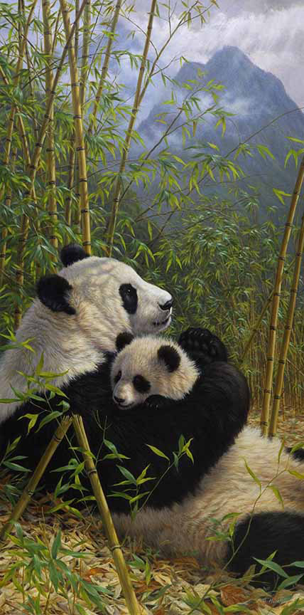 BH2 – Wildlife – A New Dynasty – Pandas © Beth Hoselton