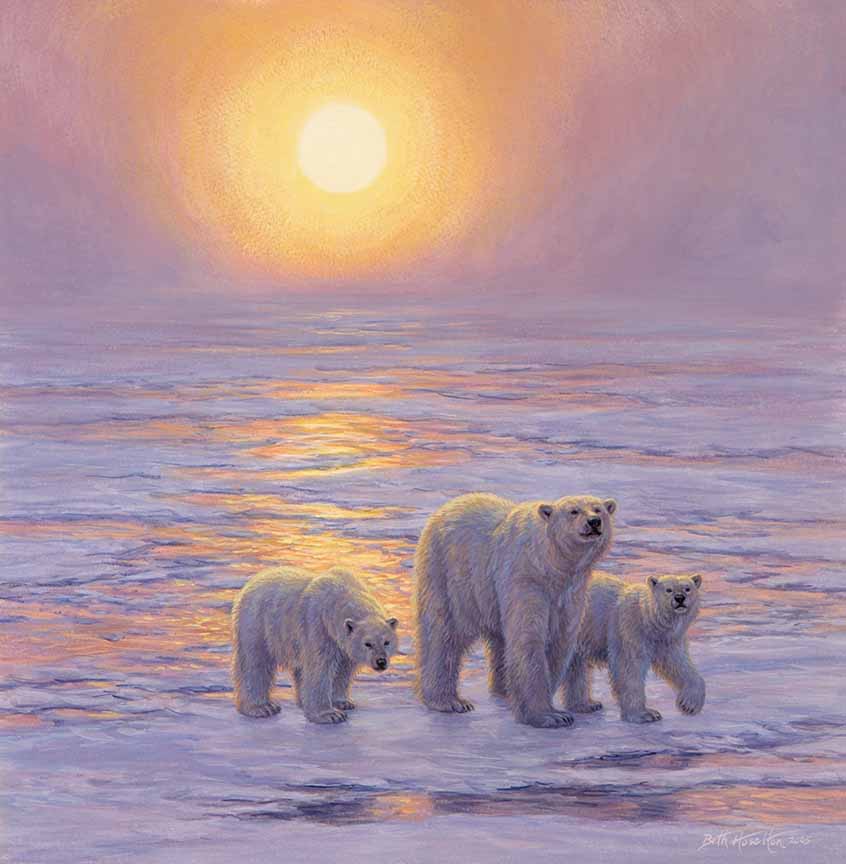 BH2 – Wildlife – Arctic Evening – Polar Bears © Beth Hoselton