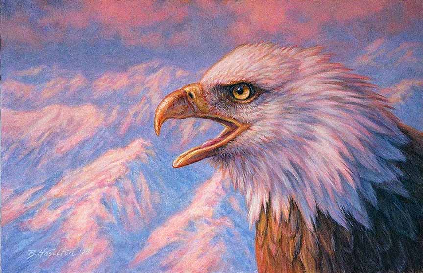BH2 – Wildlife – Call of Freedom – Bald Eagle © Beth Hoselton