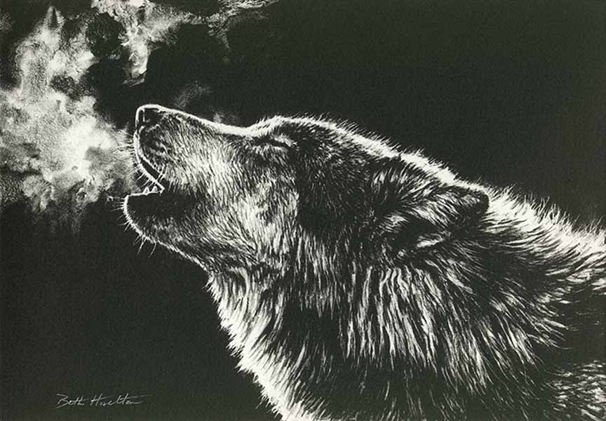 BH2 – Wildlife – Call of the Wild – Wolf © Beth Hoselton