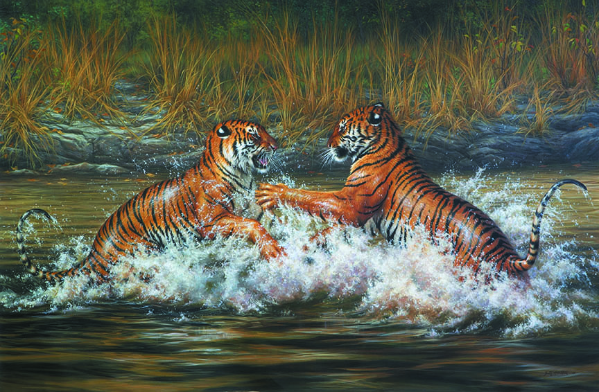 BH2 – Wildlife – Clash of the Titans – Bengal Tigers © Beth Hoselton
