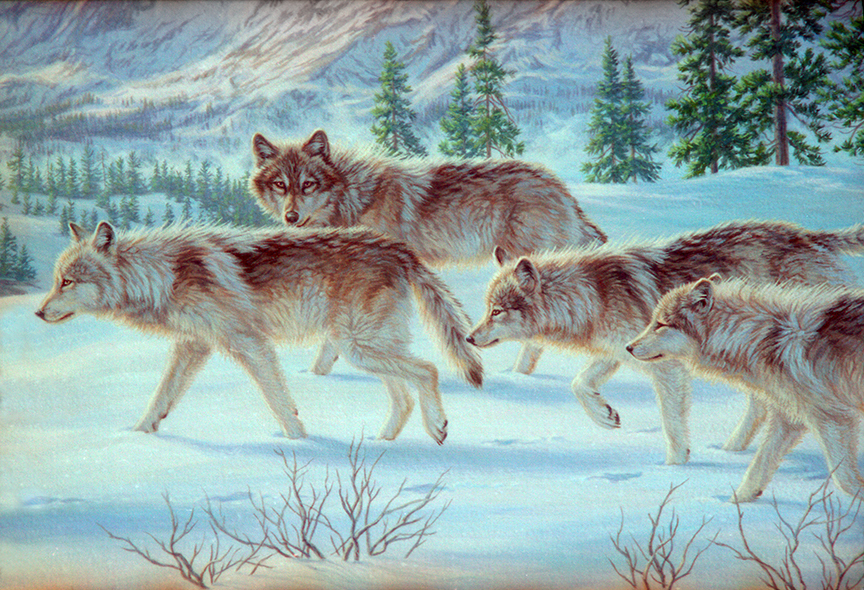 BH2 – Wildlife – Dawn Patrol – Wolves © Beth Hoselton