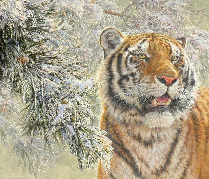 BH2 – Wildlife – Emperor- Siberian tiger – detail © Beth Hoselton