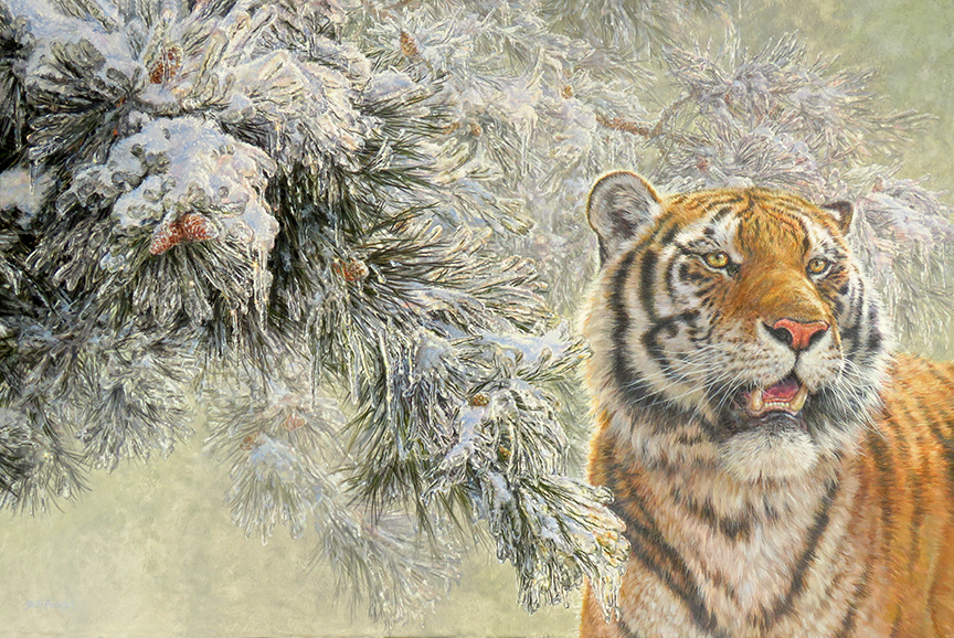 BH2 – Wildlife – Emperor – Siberian tiger © Beth Hoselton