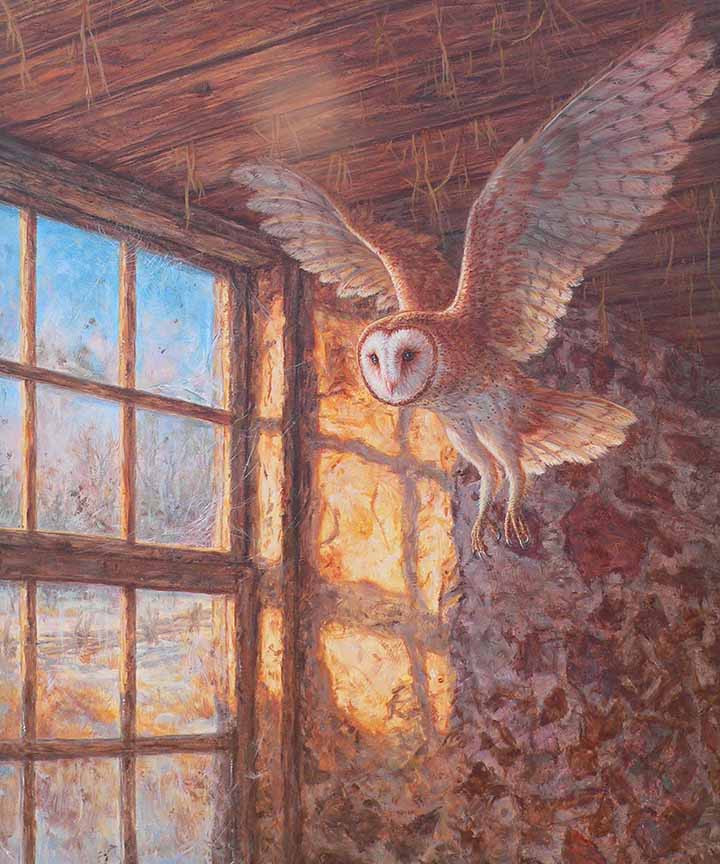 BH2 – Wildlife – Evening Light – Barn Owl © Beth Hoselton