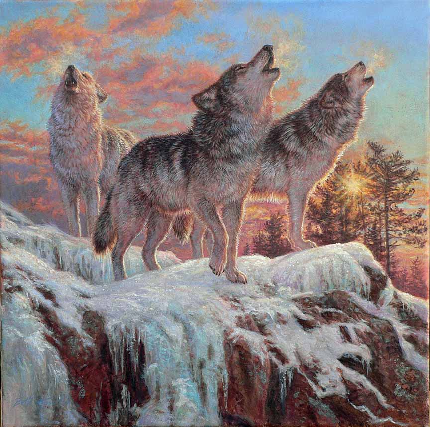 BH2 – Wildlife – Evening Song – Wolves © Beth Hoselton