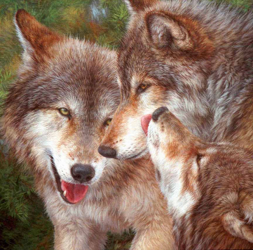 BH2 – Wildlife – Family Ties – Wolves © Beth Hoselton