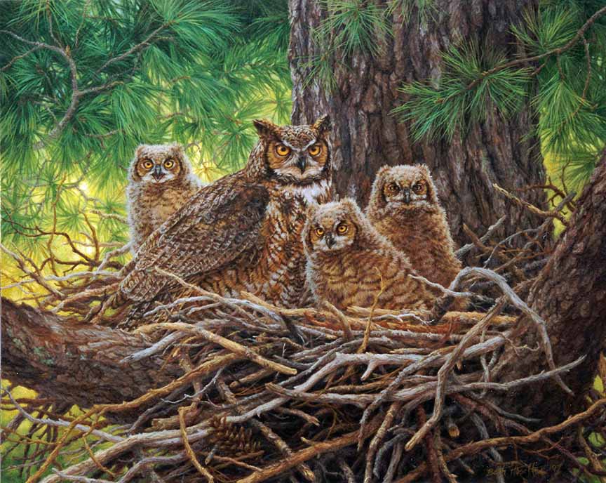 BH2 – Wildlife – Forest Haven – Great Horned Owl © Beth Hoselton