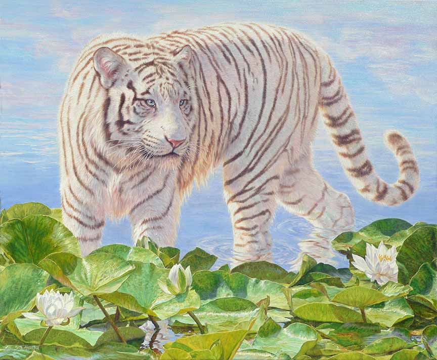 BH2 – Wildlife – Ghost of the Raj – White Tiger © Beth Hoselton