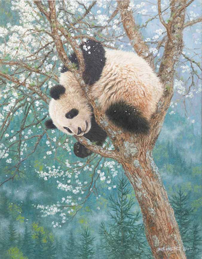 BH2 – Wildlife – Golden Child – Panda Cub © Beth Hoselton