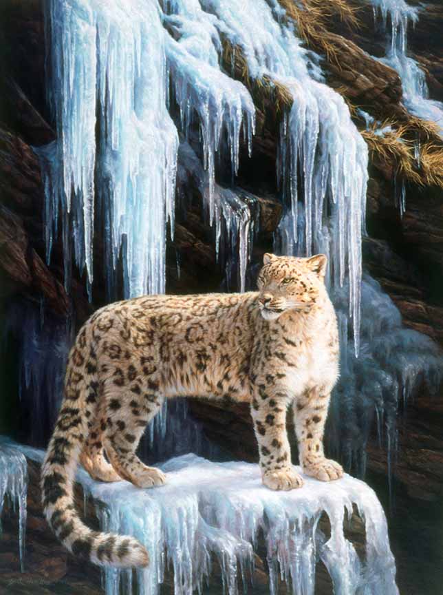 BH2 – Wildlife – Himalayan Hideaway – Snow Leopard © Beth Hoselton
