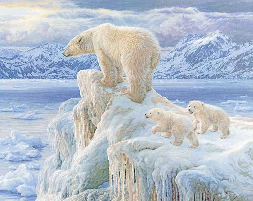 BH2 – Wildlife – Ice Castle – Polar Bears © Beth Hoselton
