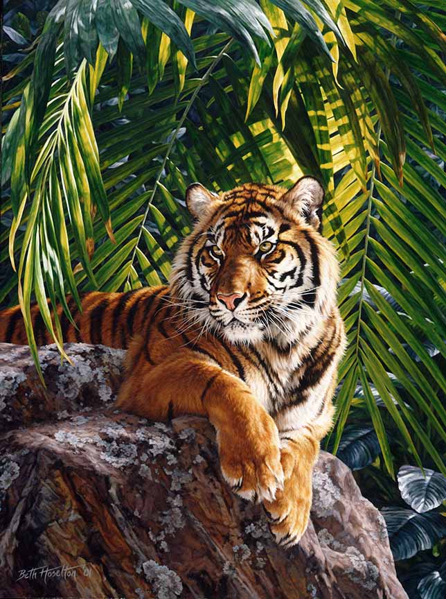 BH2 – Wildlife – Jungle Queen – Tiger © Beth Hoselton