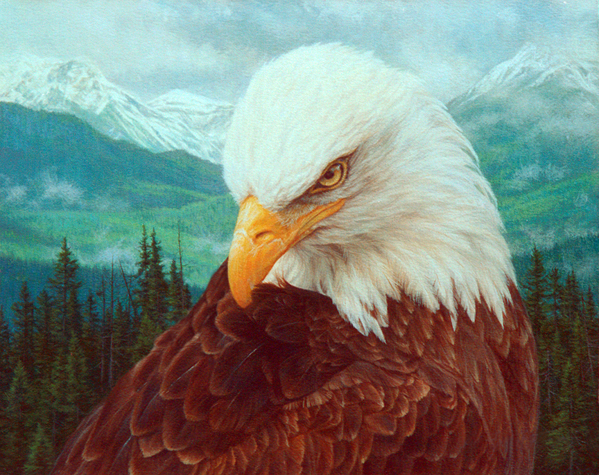 BH2 – Wildlife – Land of the Eagle © Beth Hoselton