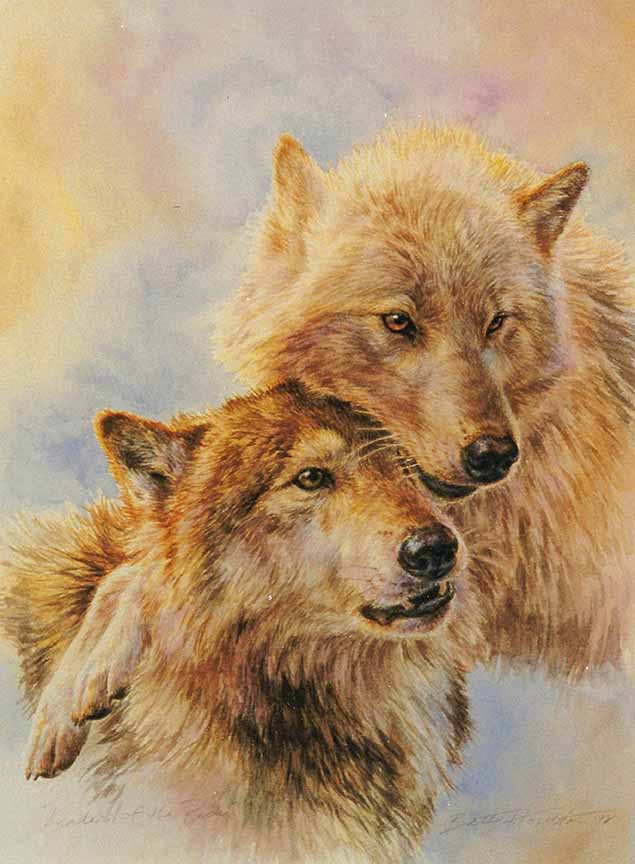 BH2 – Wildlife – Leaders of the Pack – Wolves © Beth Hoselton