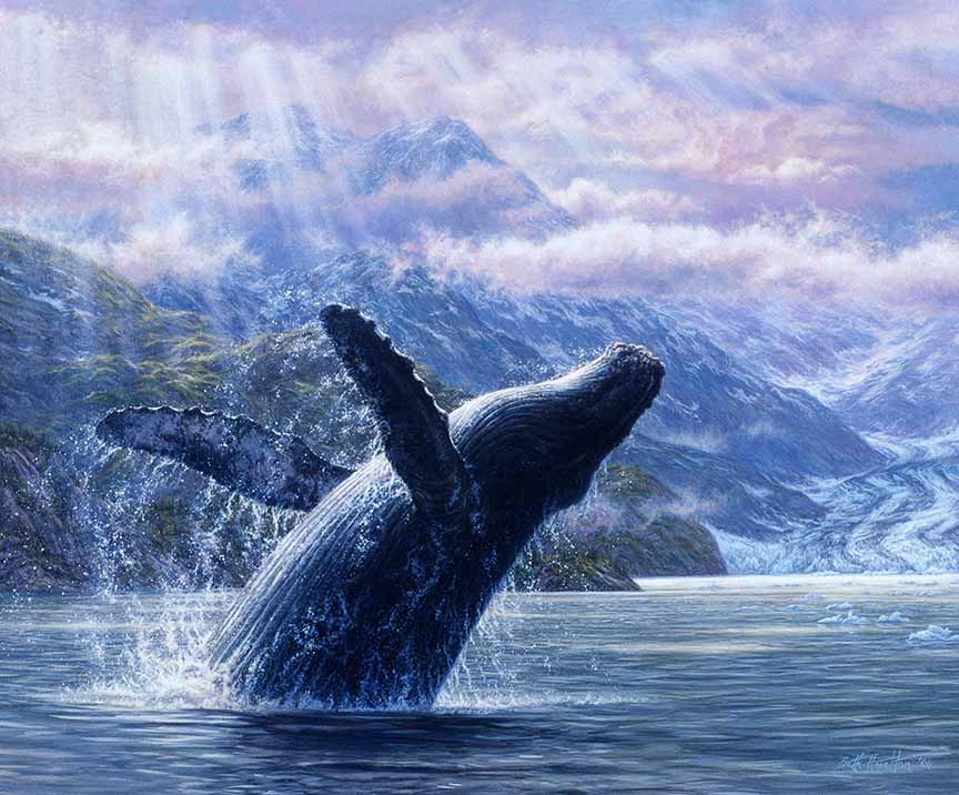 BH2 – Wildlife – Leviathan of Glacier Bay – Humpback Whale © Beth Hoselton