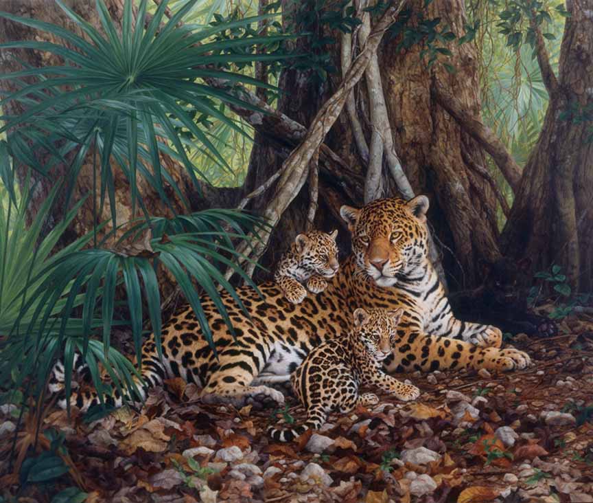 BH2 – Wildlife – Mayan Queen – Jaguar and Cubs © Beth Hoselton