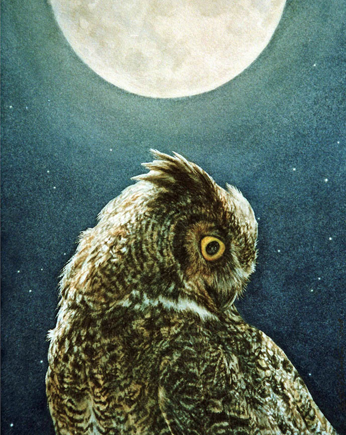 BH2 – Wildlife – Moonlit – Great Horned Owl © Beth Hoselton