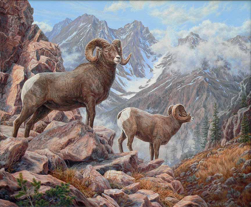 BH2 – Wildlife – Mountain King – Bighorn Sheep © Beth Hoselton