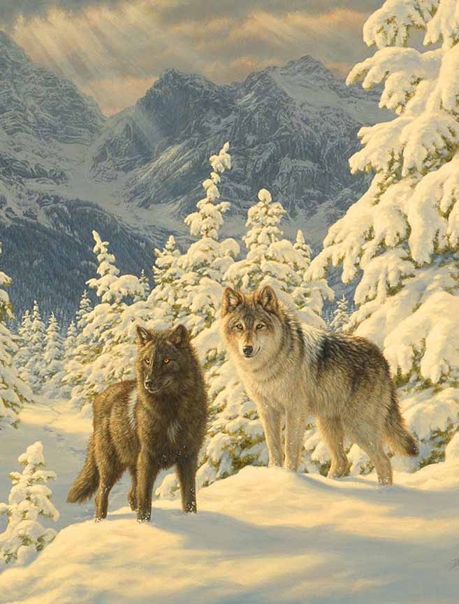 BH2 – Wildlife – Mountain Majesty – Wolves © Beth Hoselton