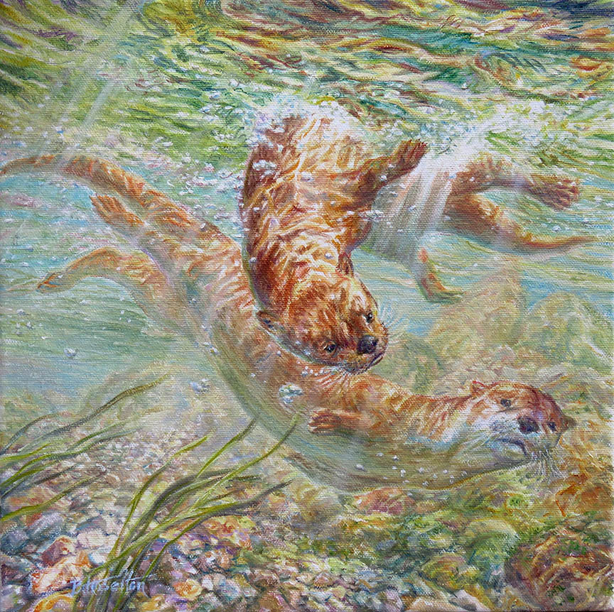 BH2 – Wildlife – Otter Play © Beth Hoselton