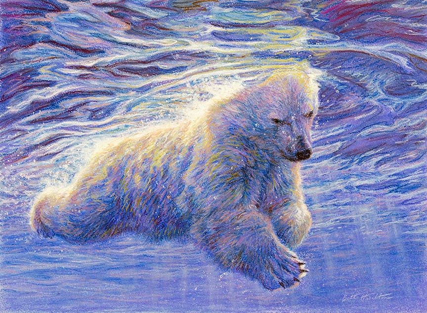 BH2 – Wildlife – Polar Swim – Polar Bear © Beth Hoselton