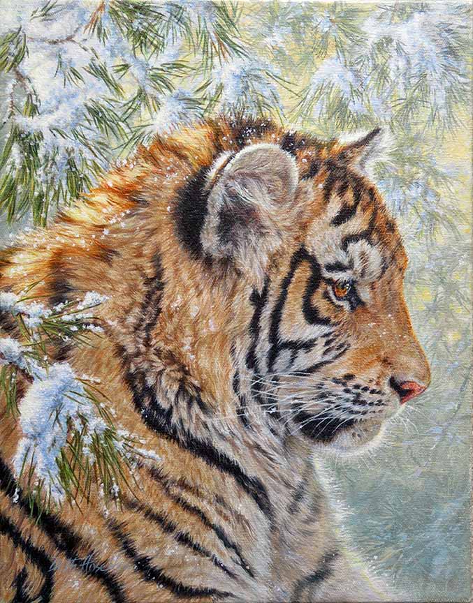 BH2 – Wildlife – Siberian Prince – Tiger Cub © Beth Hoselton
