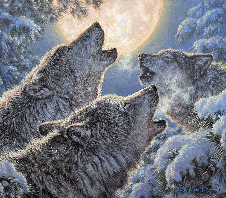 BH2 – Wildlife – Song of the North – Wolves © Beth Hoselton