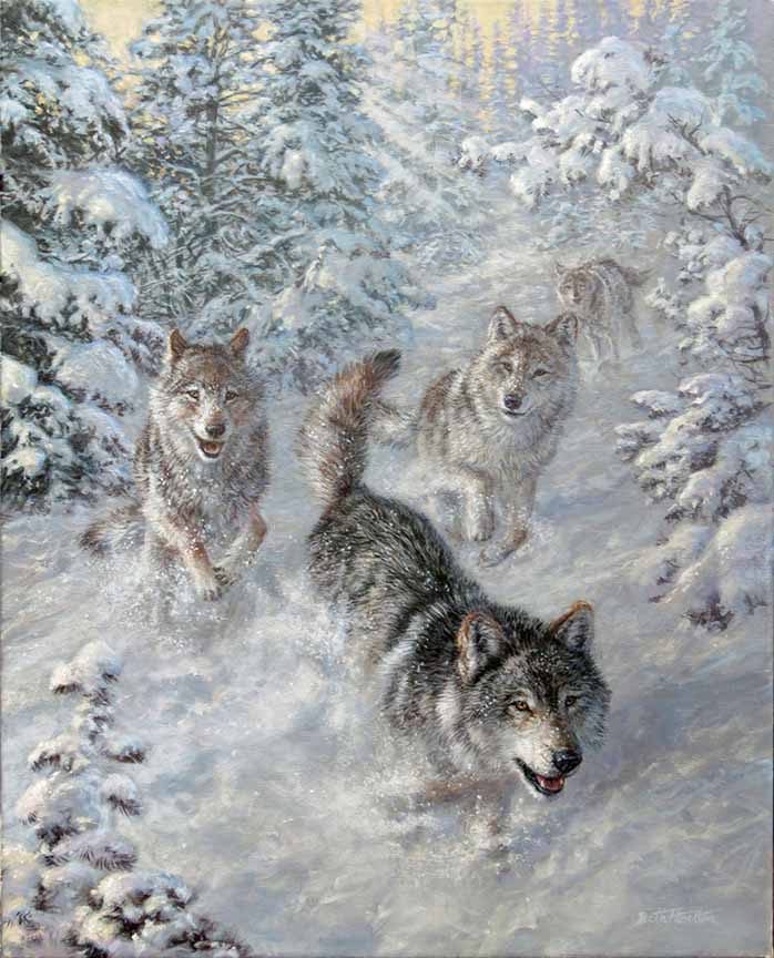 BH2 – Wildlife – Spirit of the North – Wolves © Beth Hoselton