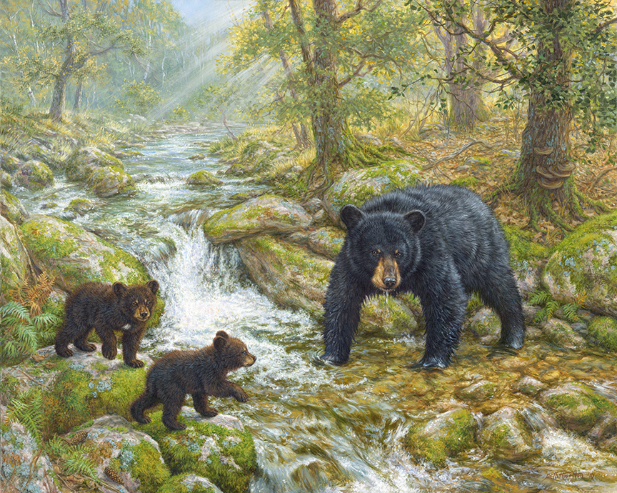 BH2 – Wildlife – Summer’s Picnic – Black Bear Family © Beth Hoselton