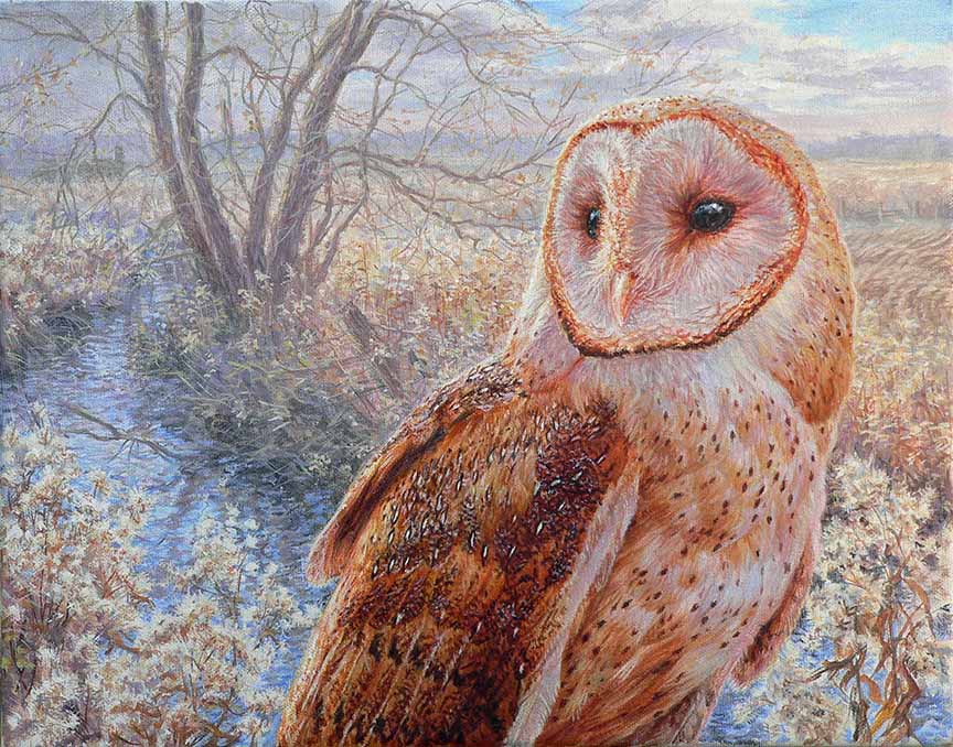 BH2 – Wildlife – The Meadow Sentinel – Barn Owl © Beth Hoselton