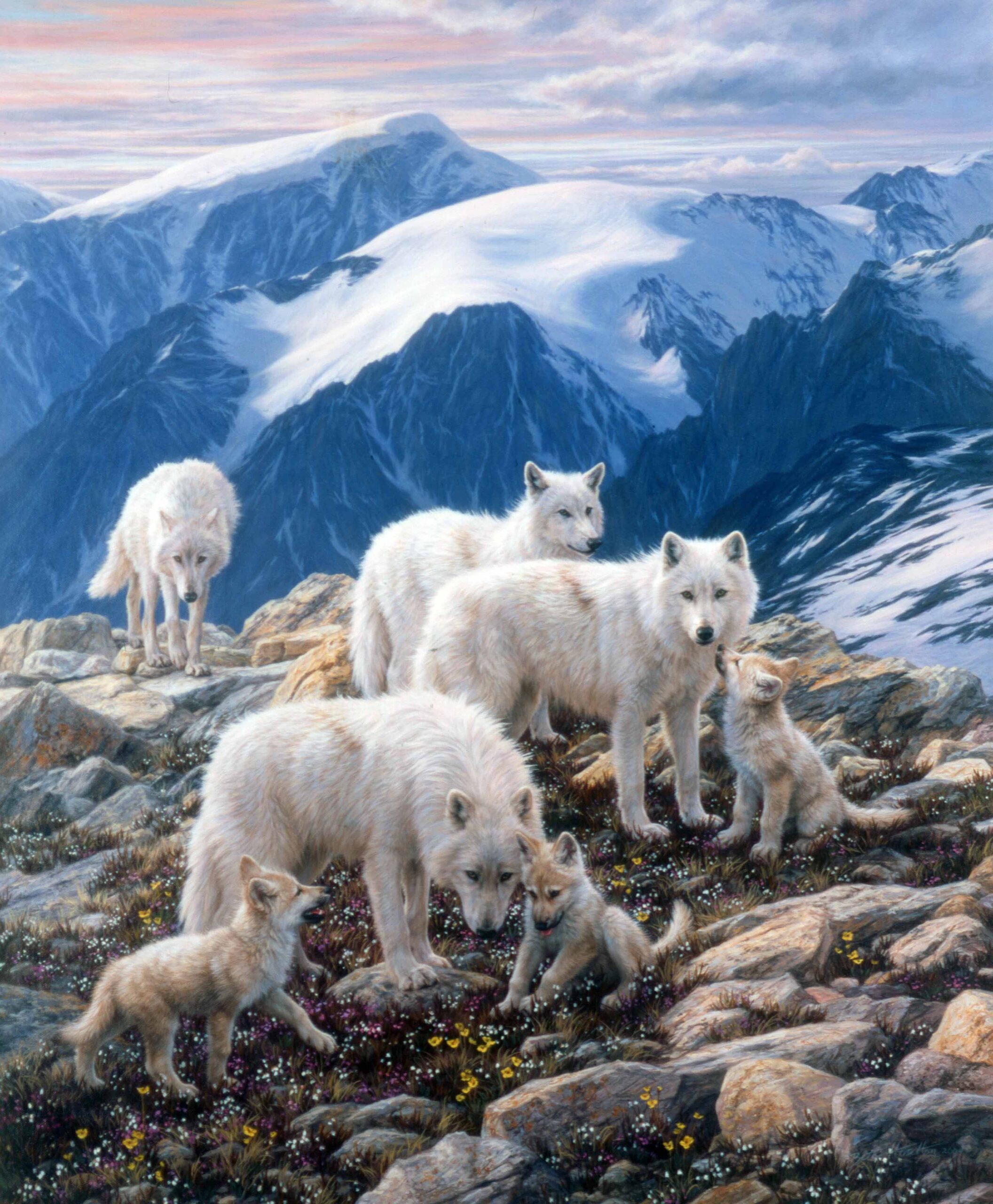 BH2 – Wildlife – Three Generations – Arctic wolves © Beth Hoselton