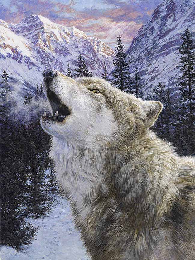 BH2 – Wildlife – Twilight Song – Wolf © Beth Hoselton
