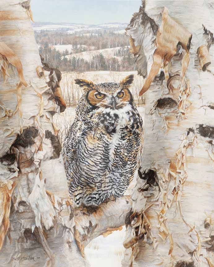 BH2 – Wildlife – Winter’s Wisdom – Great Horned Owl © Beth Hoselton
