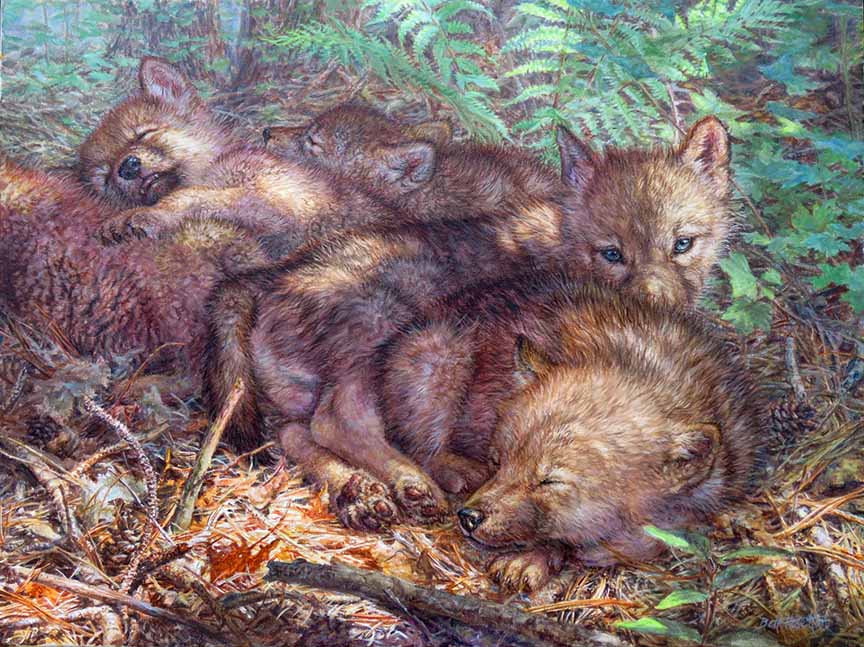 BH2 – Wildlife – Woodland Lullaby – Wolf Cubs © Beth Hoselton