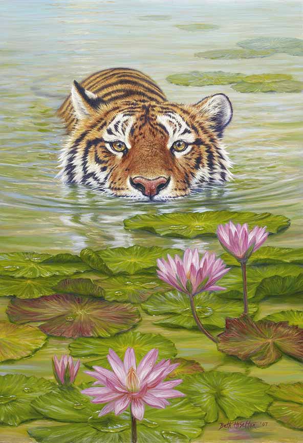 BH2 – Wildlife – Land of the Lotus – Tiger © Beth Hoselton