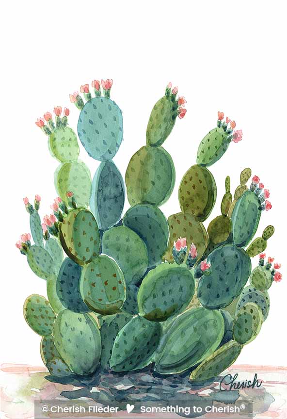 CF – Desert C1709-02 Desert Cactus Bloom © Cherish Flieder