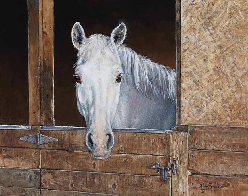 KP – A Stable Friend © Kim Penner