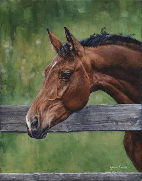 KP – My Horse Carlton © Kim Penner