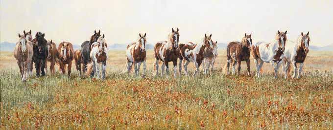 KP – Painted Prairie © Kim Penner
