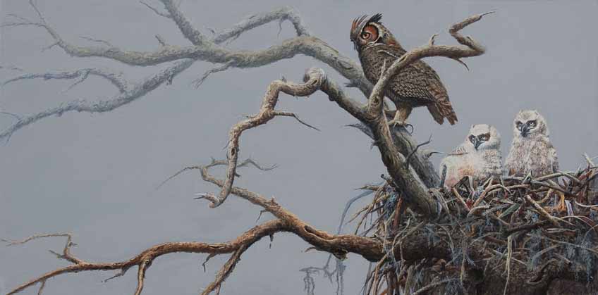 SSL – Morning Mist – Great horned Owl © Suzie Seerey-Lester