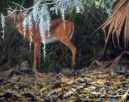SSL – Spanish Moss – Deer © Suzie Seerey-Lester