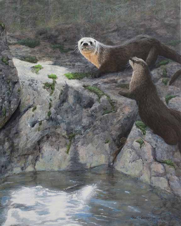 SSL – TSIYAHI – Place of the River Otter © Suzie Seerey-Lester