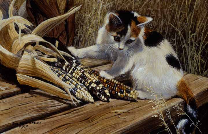 AB – Cat in the Maize © Amy Brackenbury