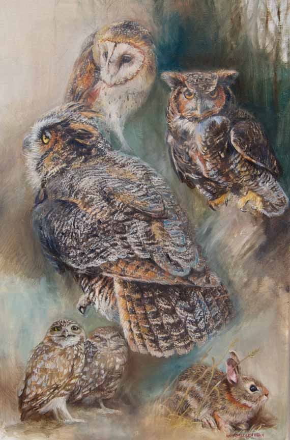 AB – Owls © Amy Brackenbury