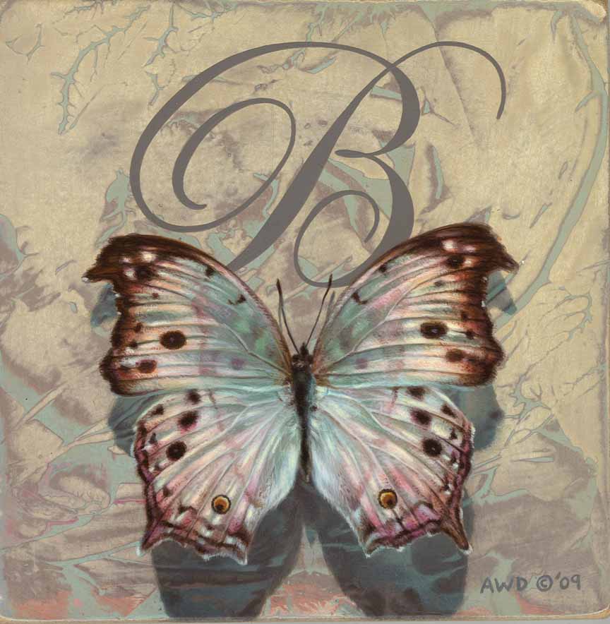 AD – B is for Butterfly © Andrew Denman