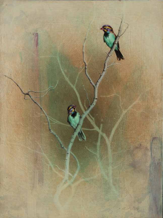 AD – Birds of Nowhere © Andrew Denman