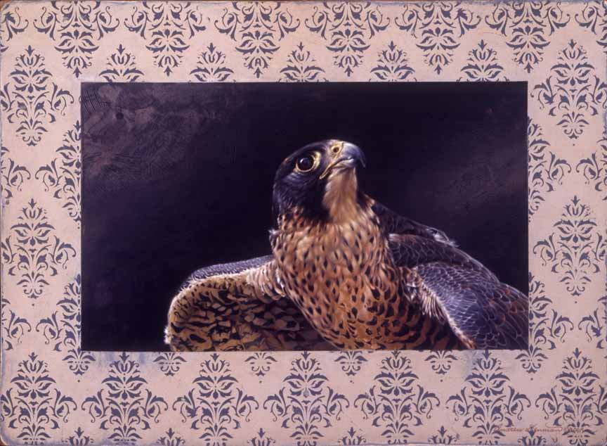 AD – Damask – Peregrine Falcon © Andrew Denman