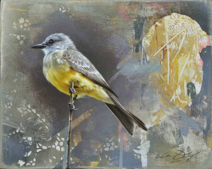 AD – Kingbirds are Easy and Fun © Andrew Denman
